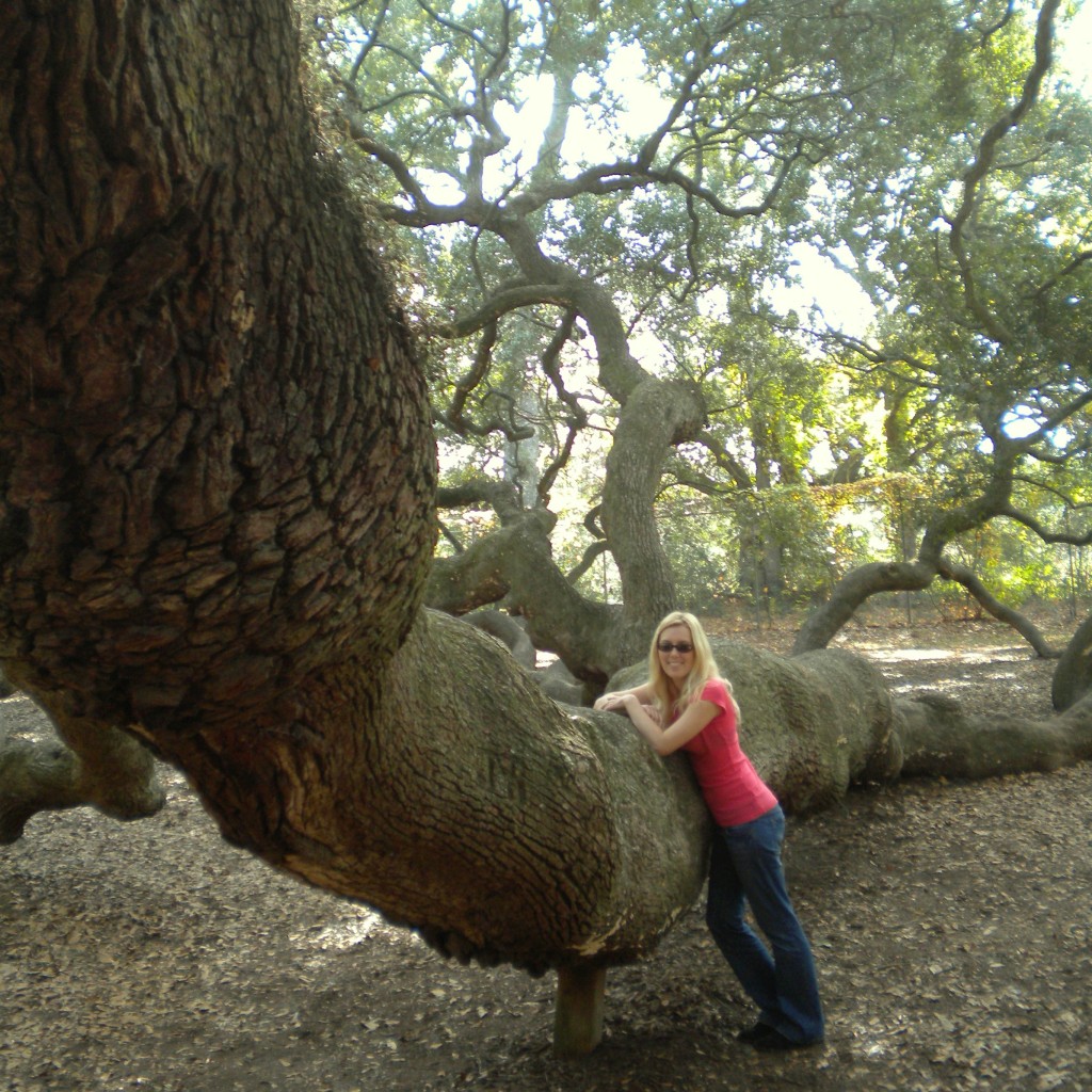 angeloak3