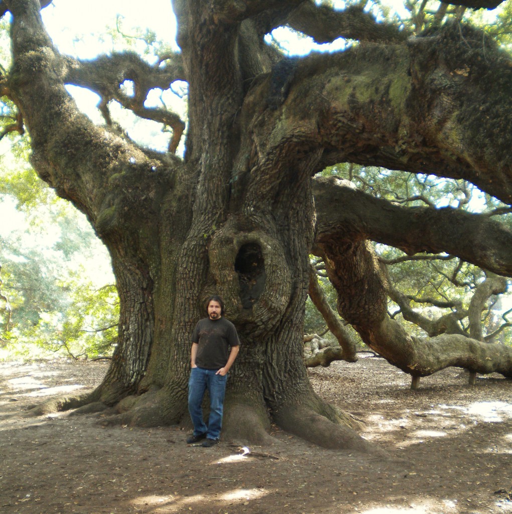 angeloak4