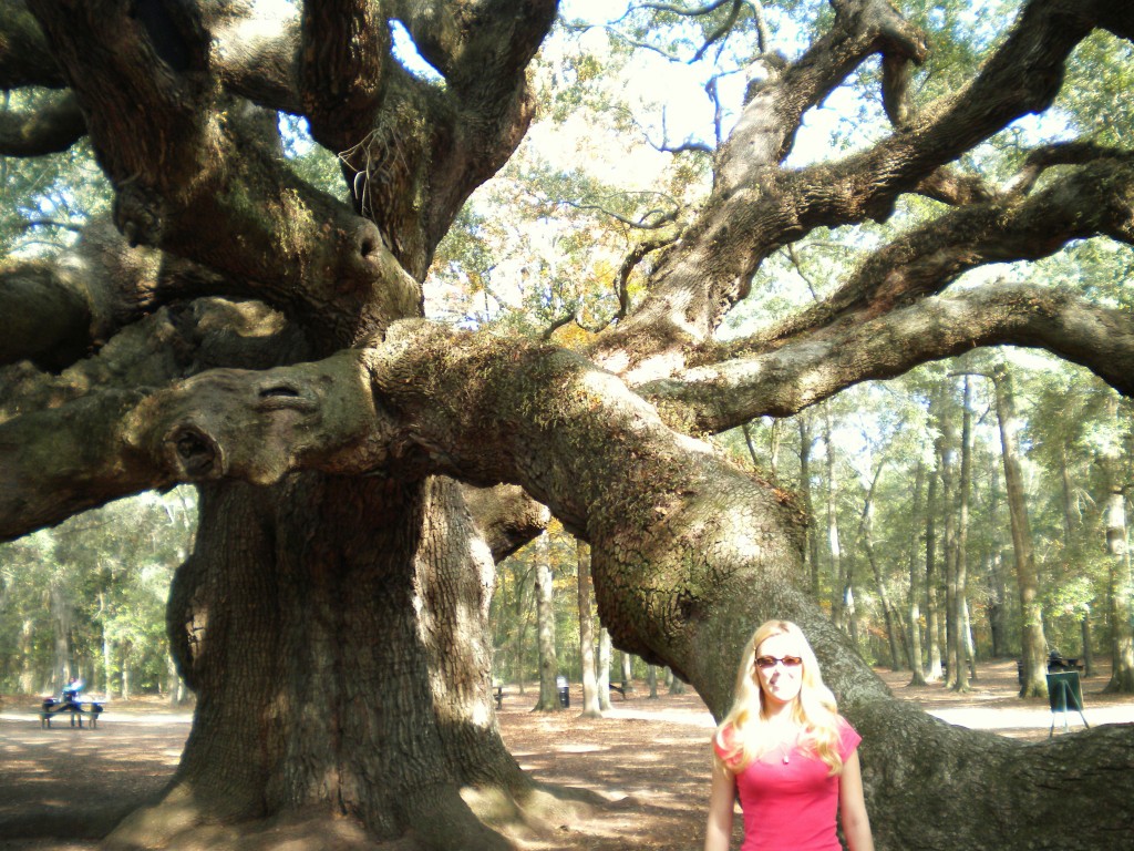 angeloak6