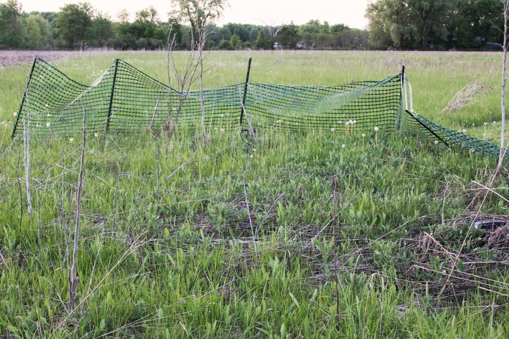 Fencing FAIL