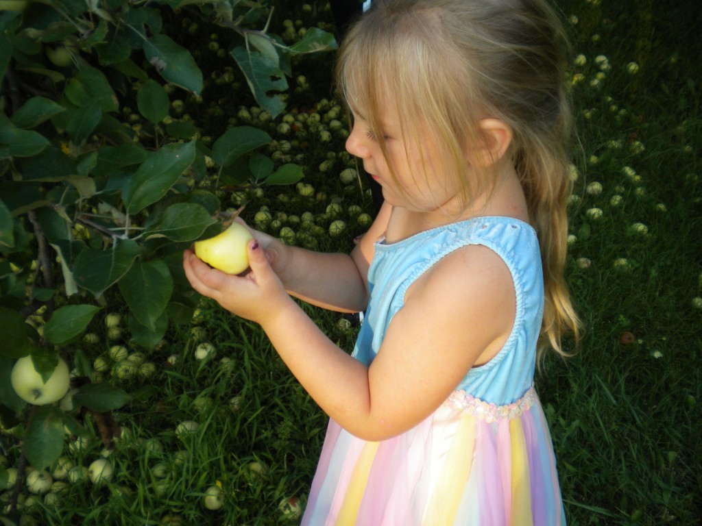 clair with apples