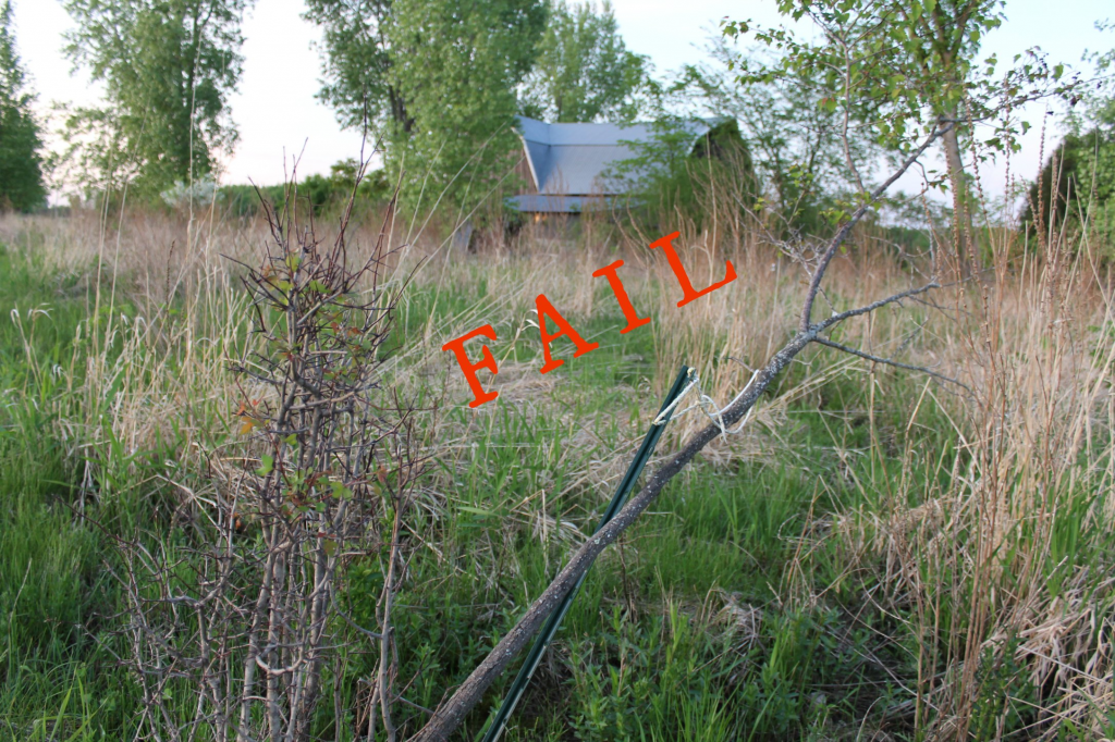tree stake fail