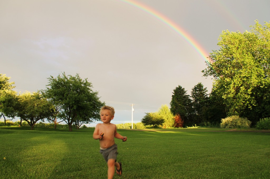 vincent and the rainbow