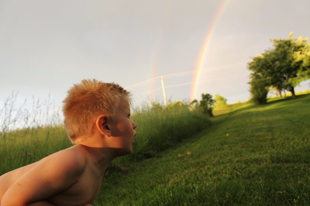 vincent and the rainbow2