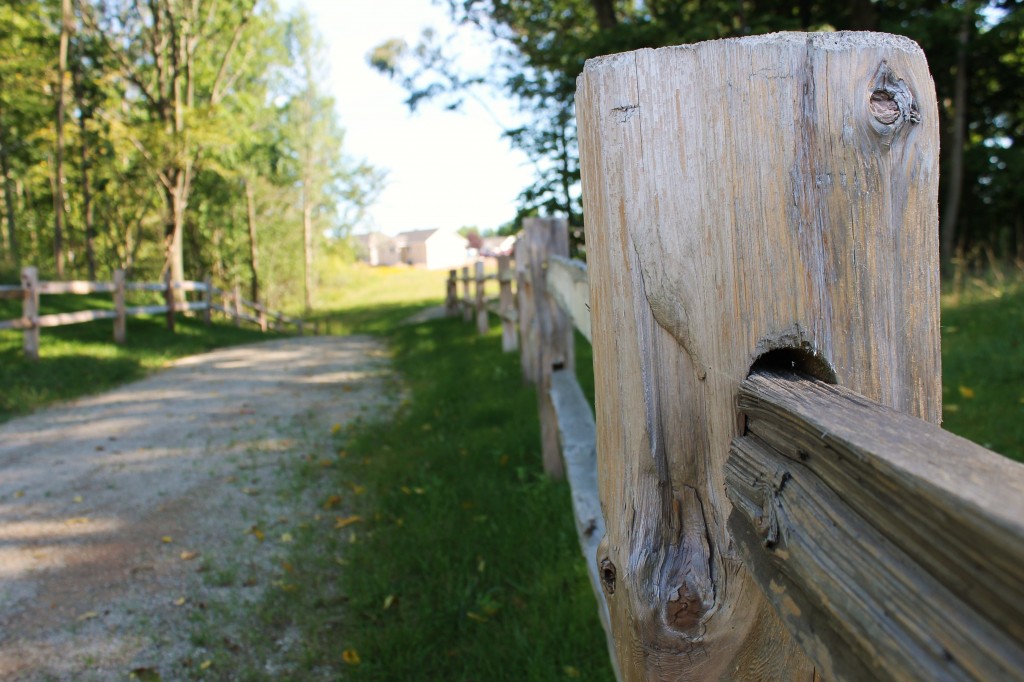 fence post