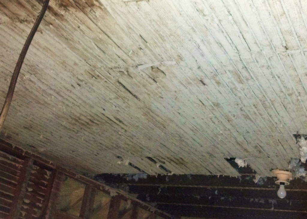 lath ceiling