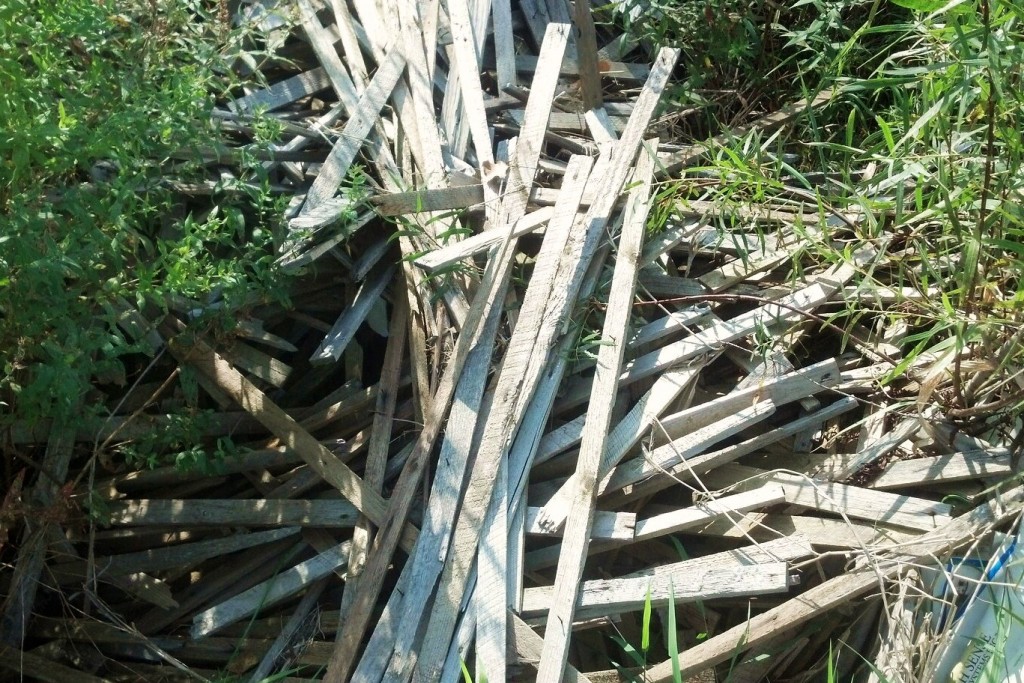 lath in field