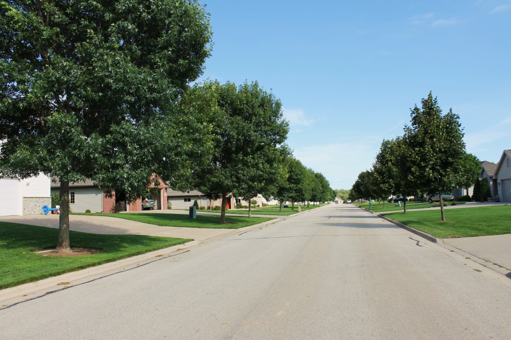 tree lined streets2