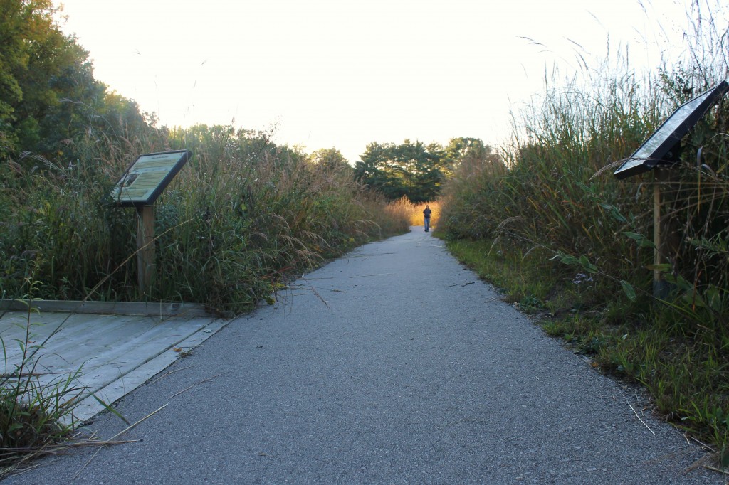 MH concrete path