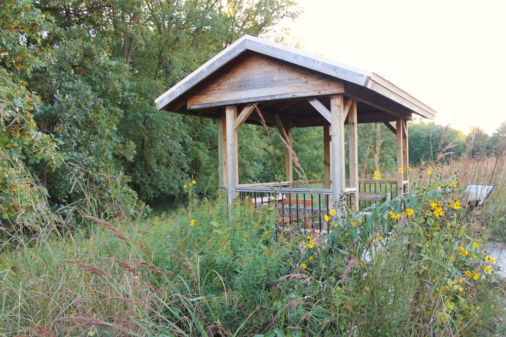 MH viewing bench