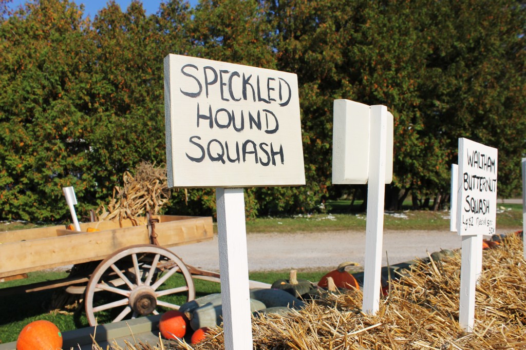 Speckled Hound Squash