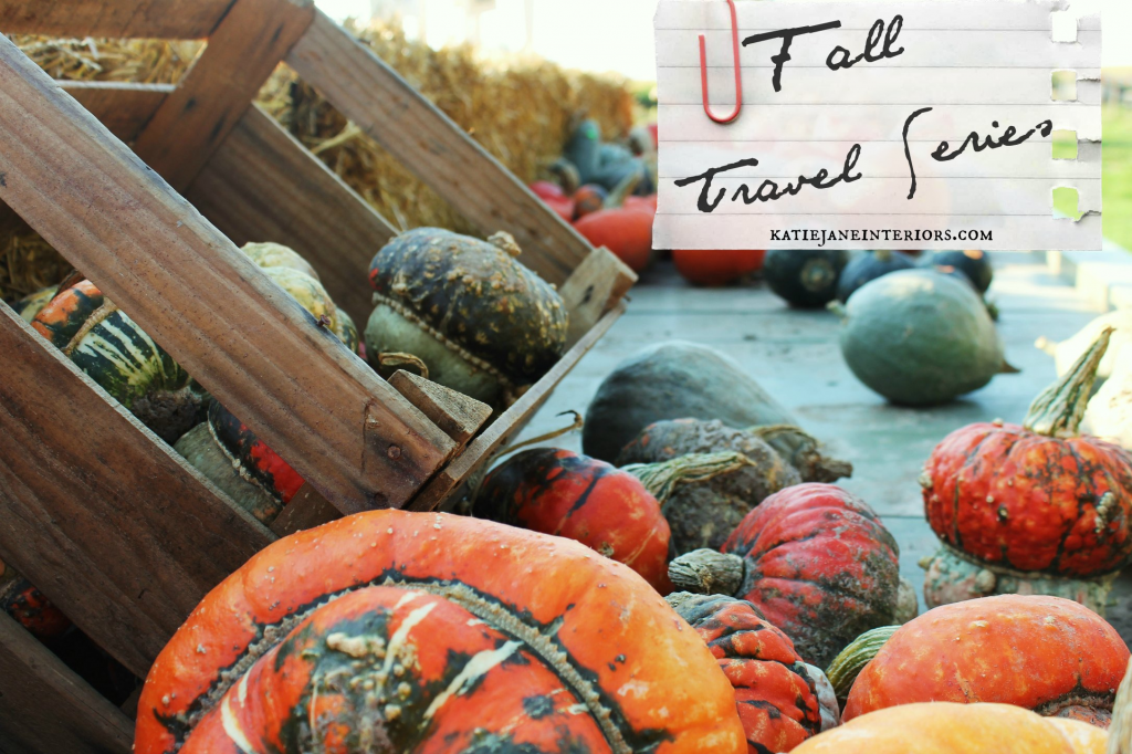 fall travel series pumpkins