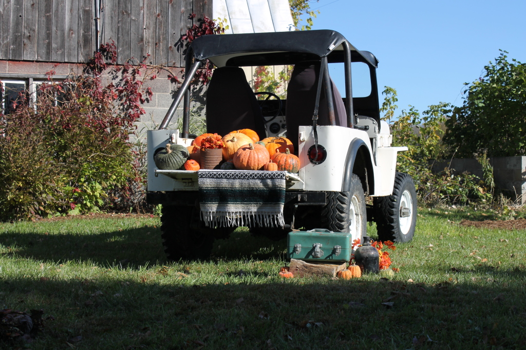 jeep pumpkin shoot