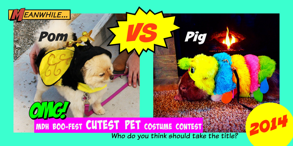 Pom vs Pig