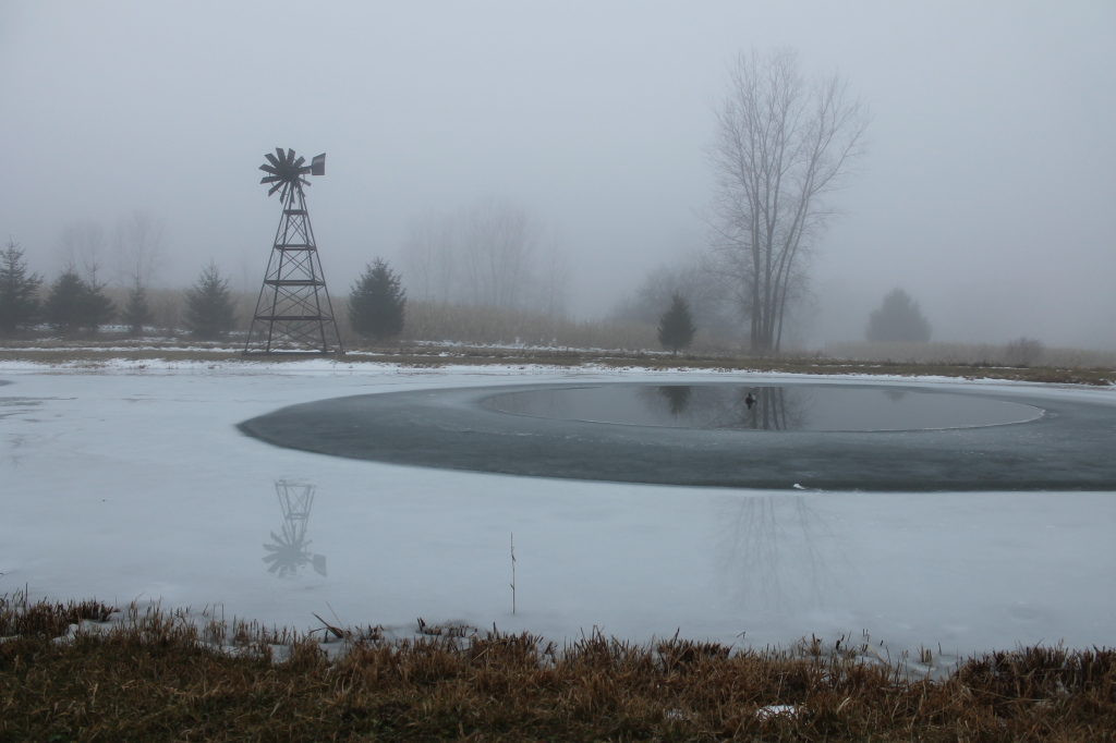dec fog by pond 2014