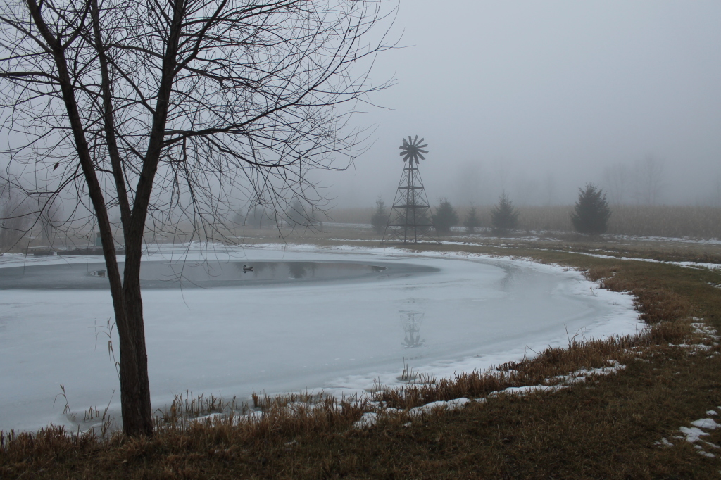 dec fog by pond2