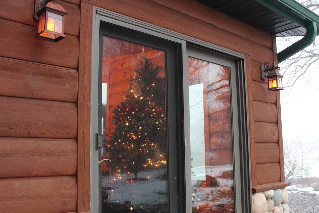 tree through patio door