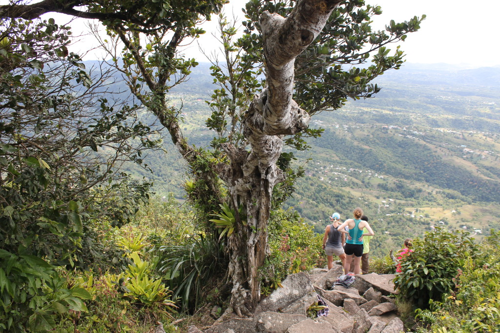 st lucia hike view3