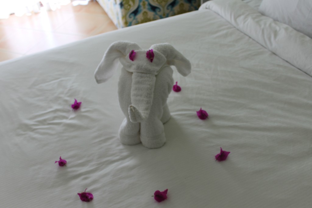 towel animal