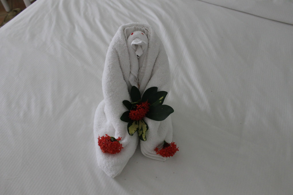 towel animal3