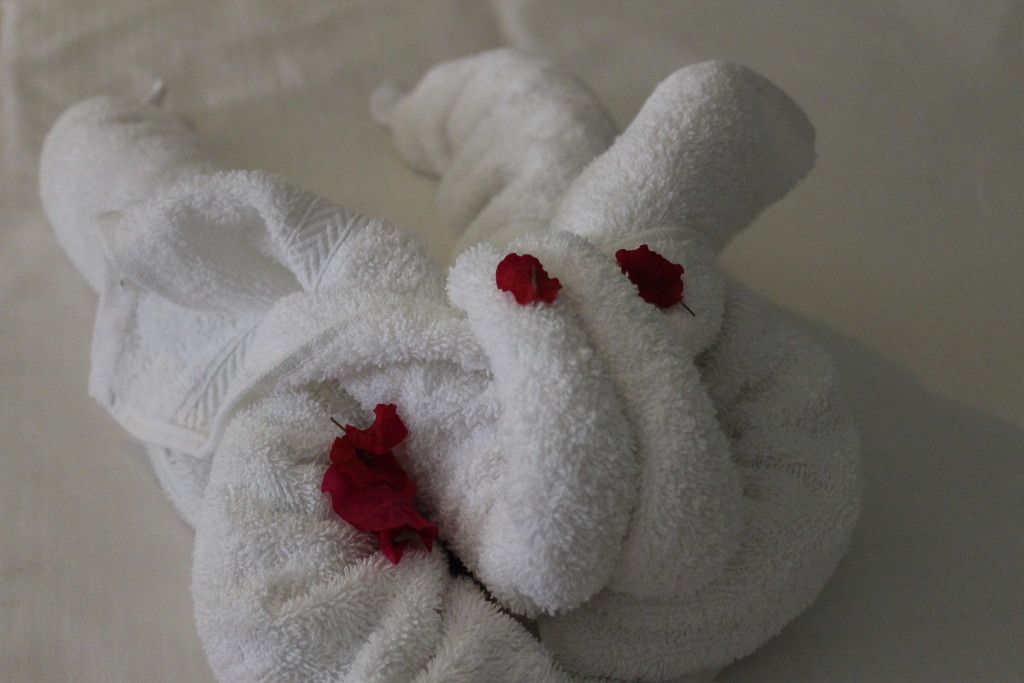 towel animal4