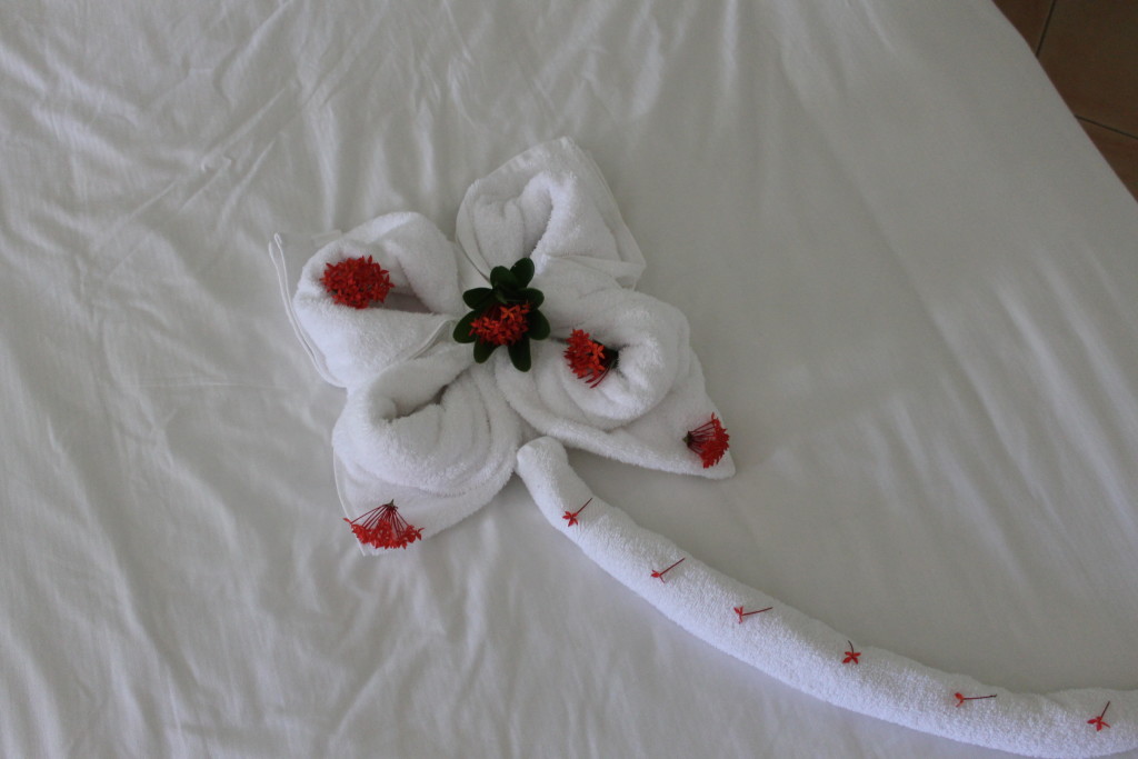 towel animal5