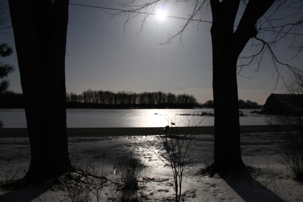 Moonlight on field