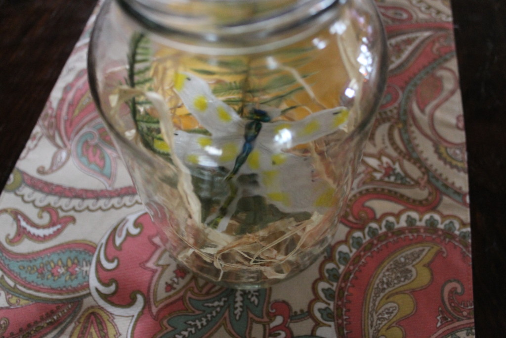 Dragonfly in jar