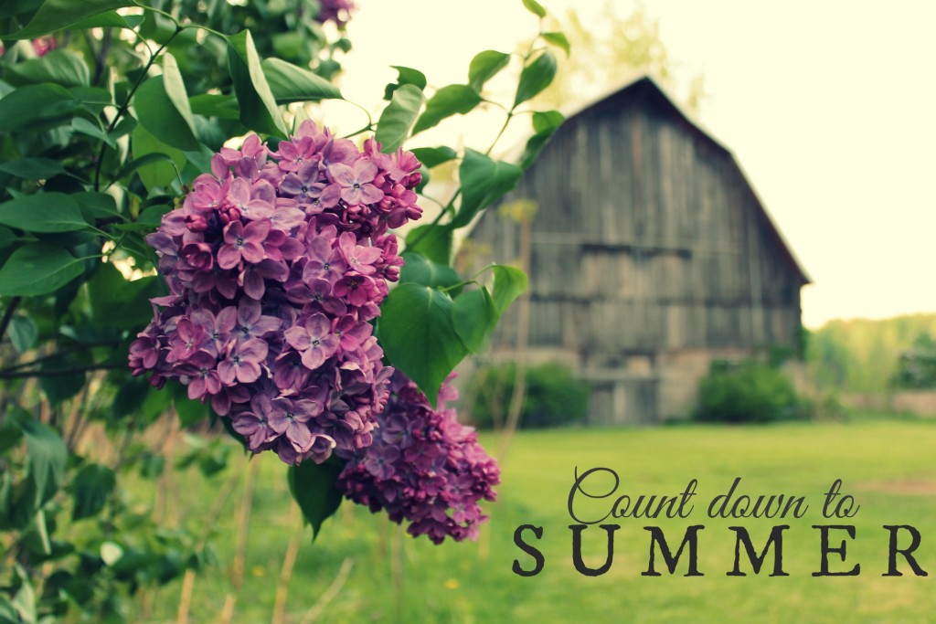 lilac countdown to summer