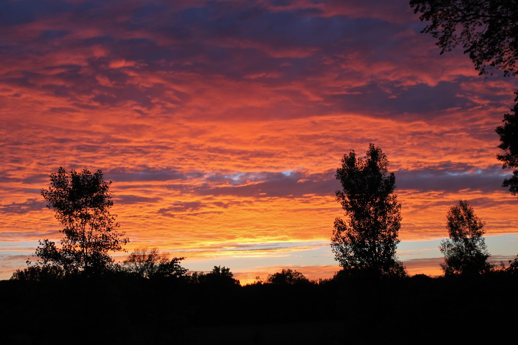 orange and purple sunset