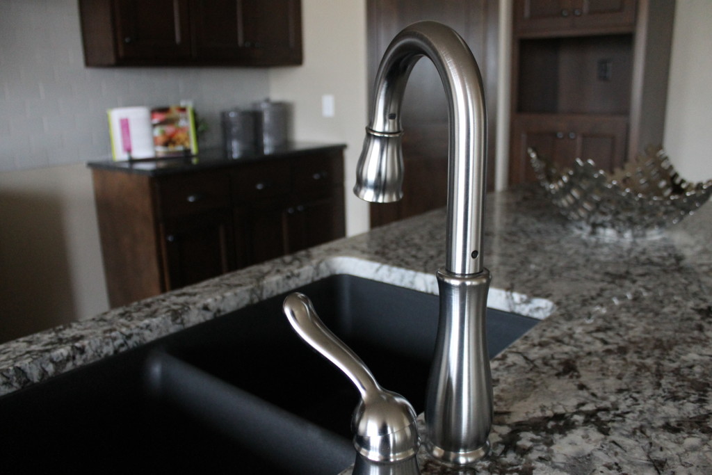 evergrn kitchen faucet