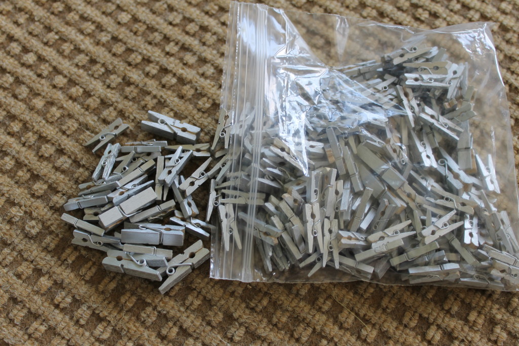 mini silver clothespins