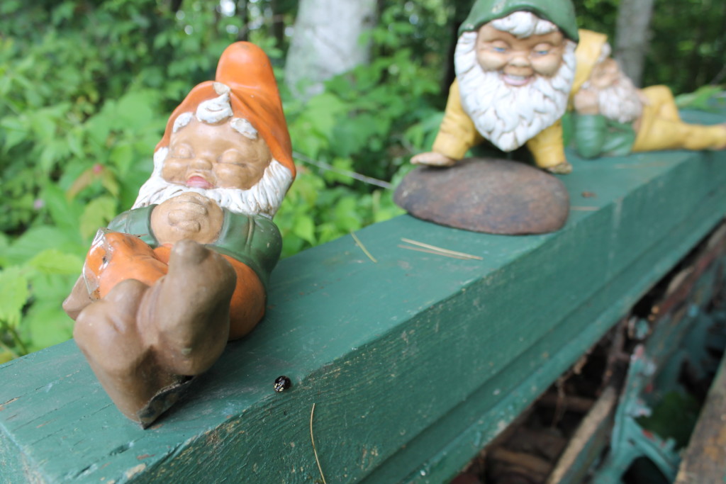 The gnomes of Squash Lake