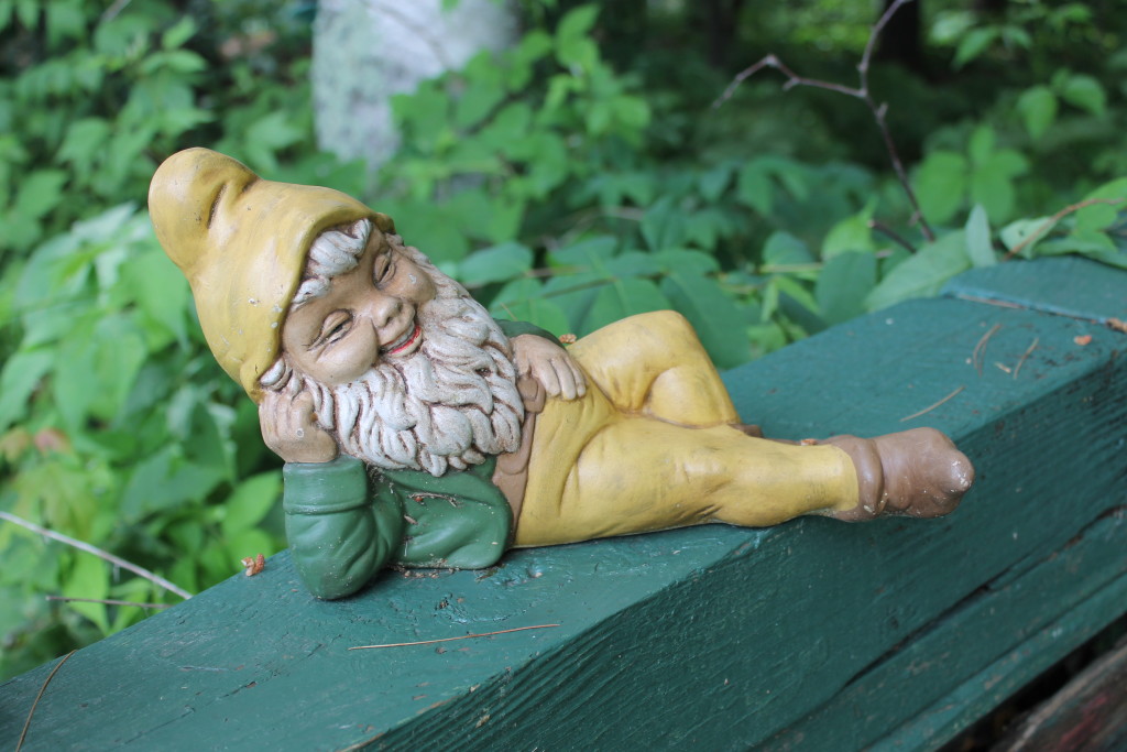 The gnomes of Squash Lake (2)