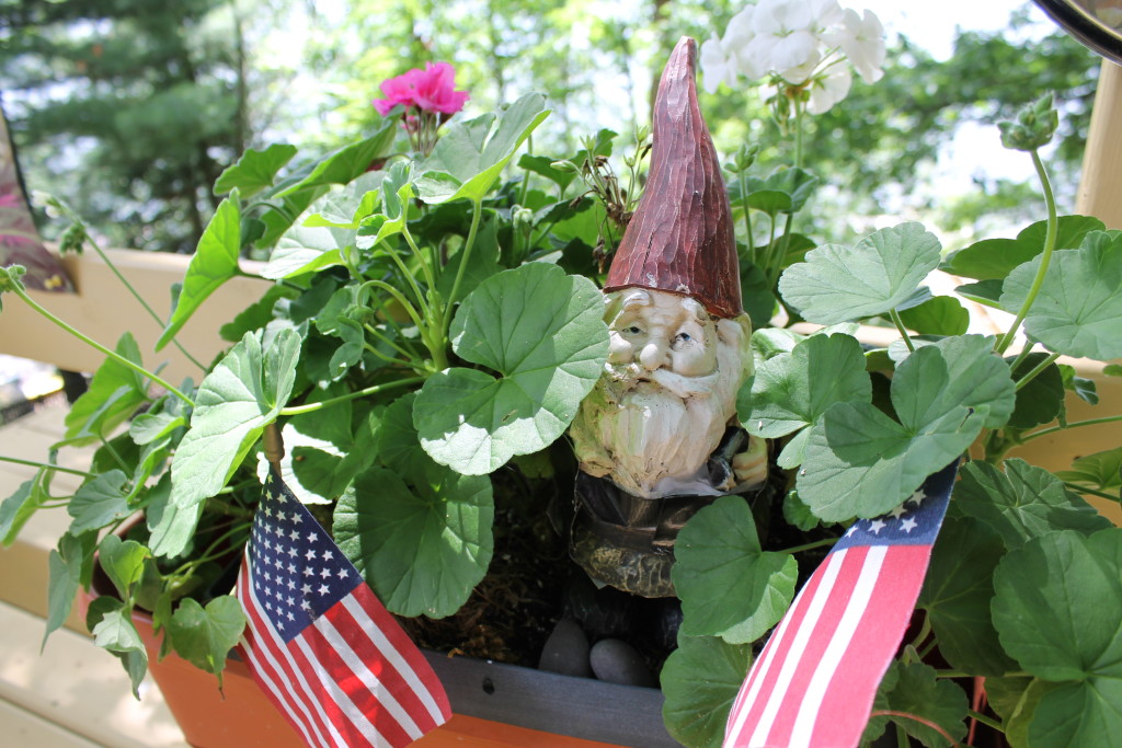 The gnomes of Squash Lake (4)