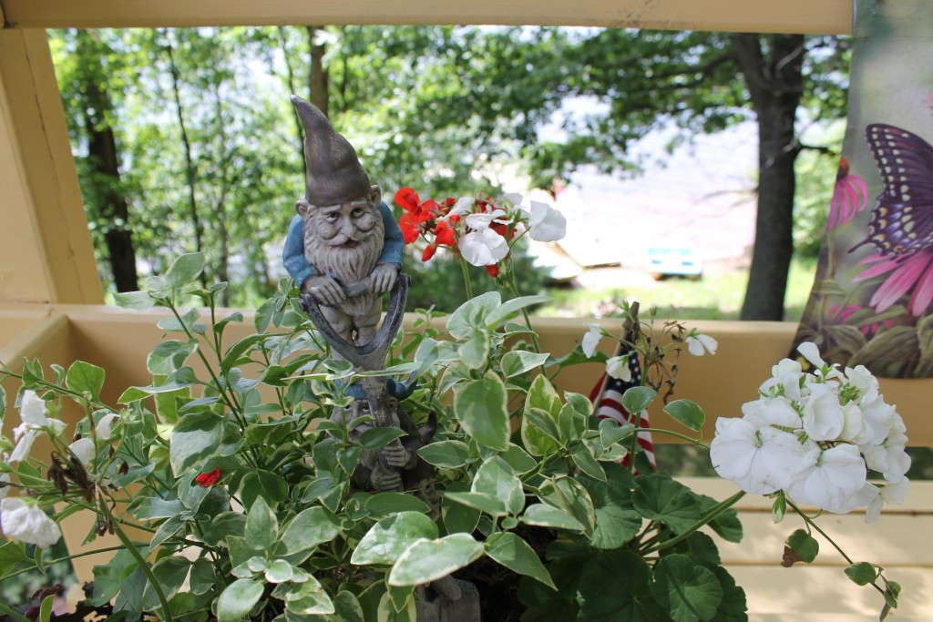 The gnomes of Squash Lake (5)