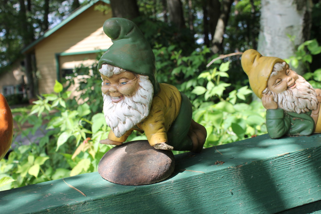 The gnomes of Squash Lake (6)