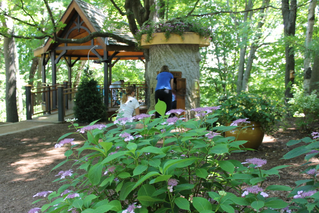 Bookworm gardens hydrangea