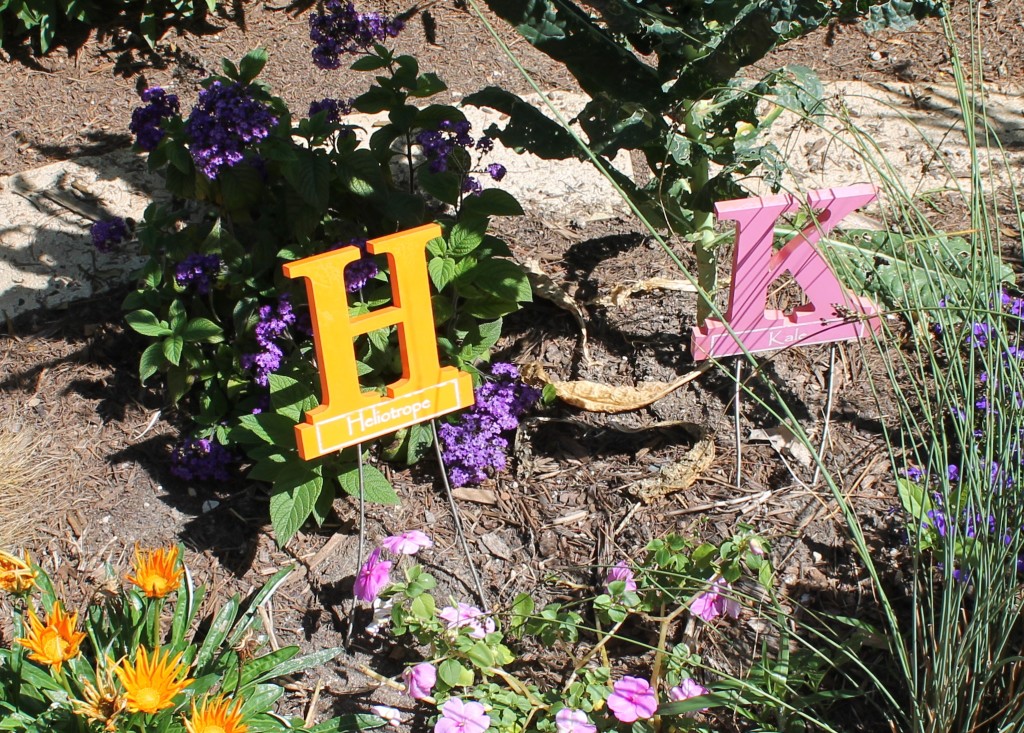 K is for Kale