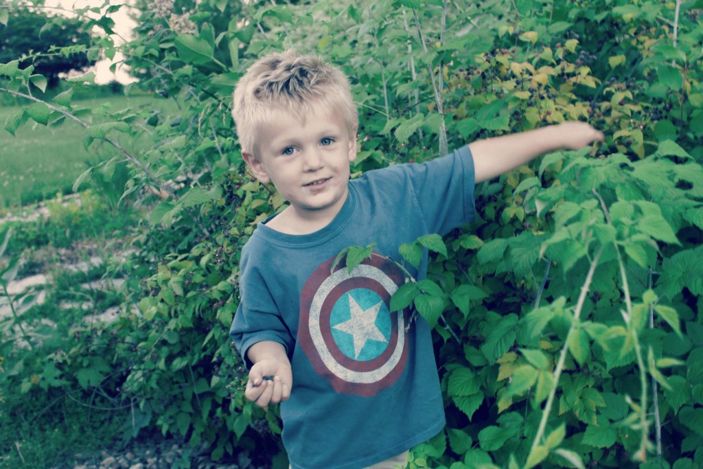 berry picking2