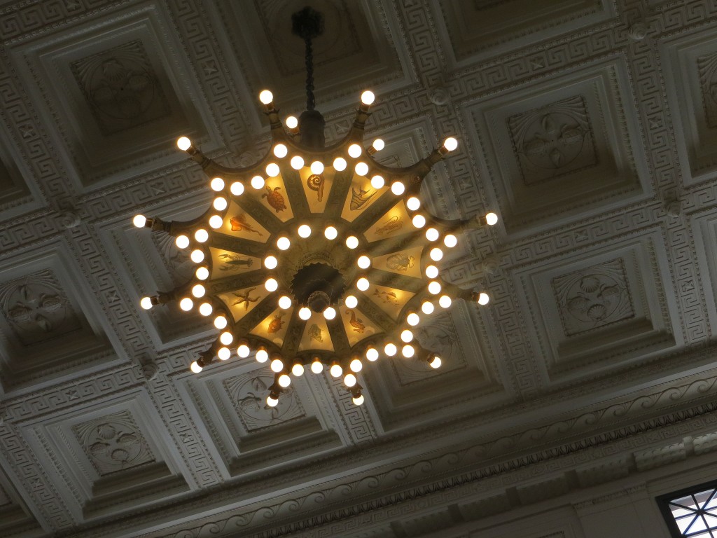 shedd aquarium light fixture 2014