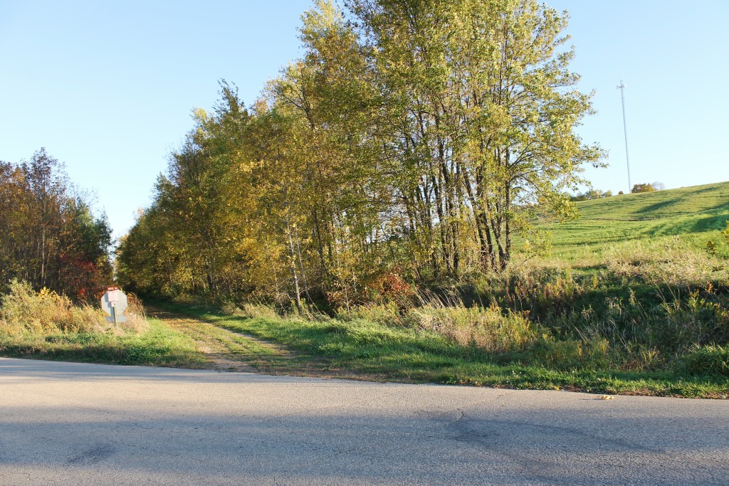 Mt Bay Trail Beech Rd, Bonduel (2)