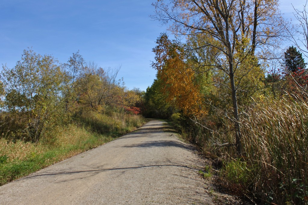 Mt Bay Trail Howard2