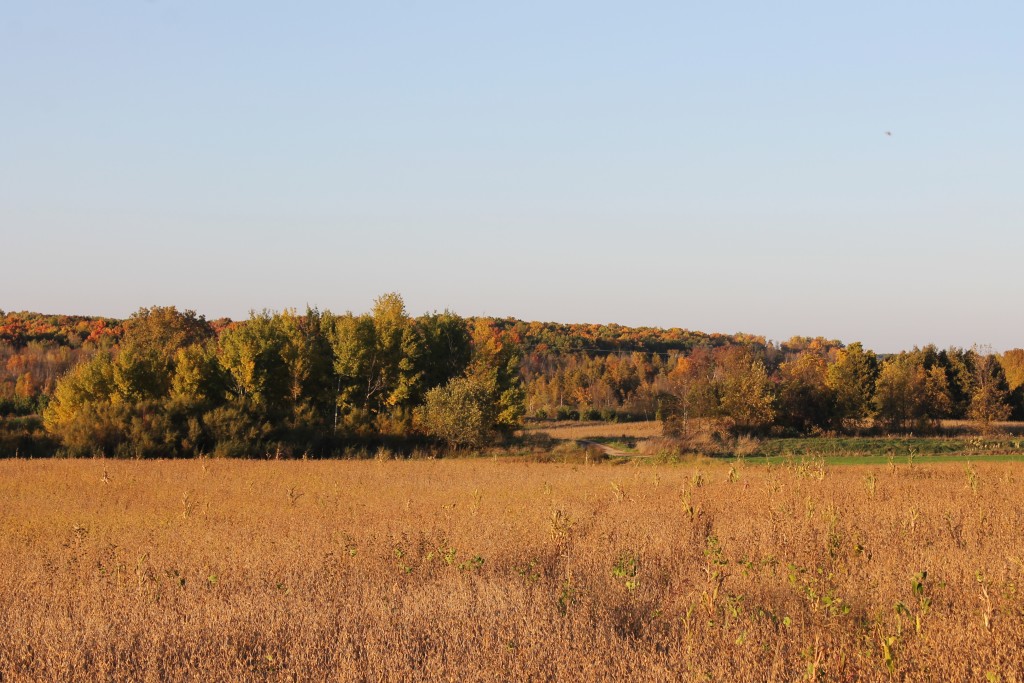 Mt Bay Trail country view, bonduel (2)