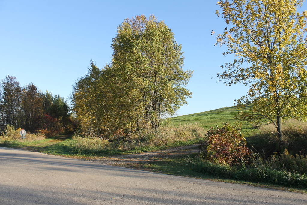 Mt Bay trail beech road, bonduel