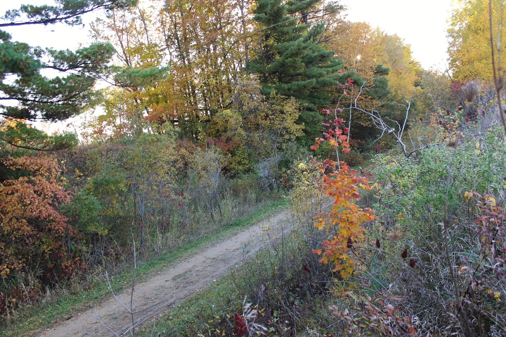 Mt Bay trail, bonduel