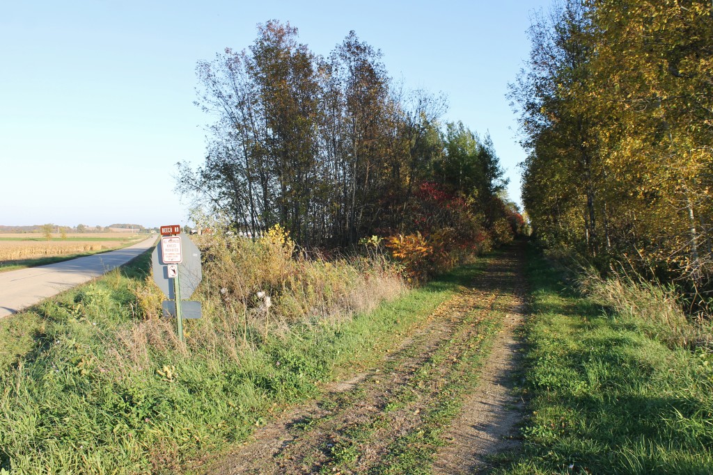 Mt bay Trail in bonduel