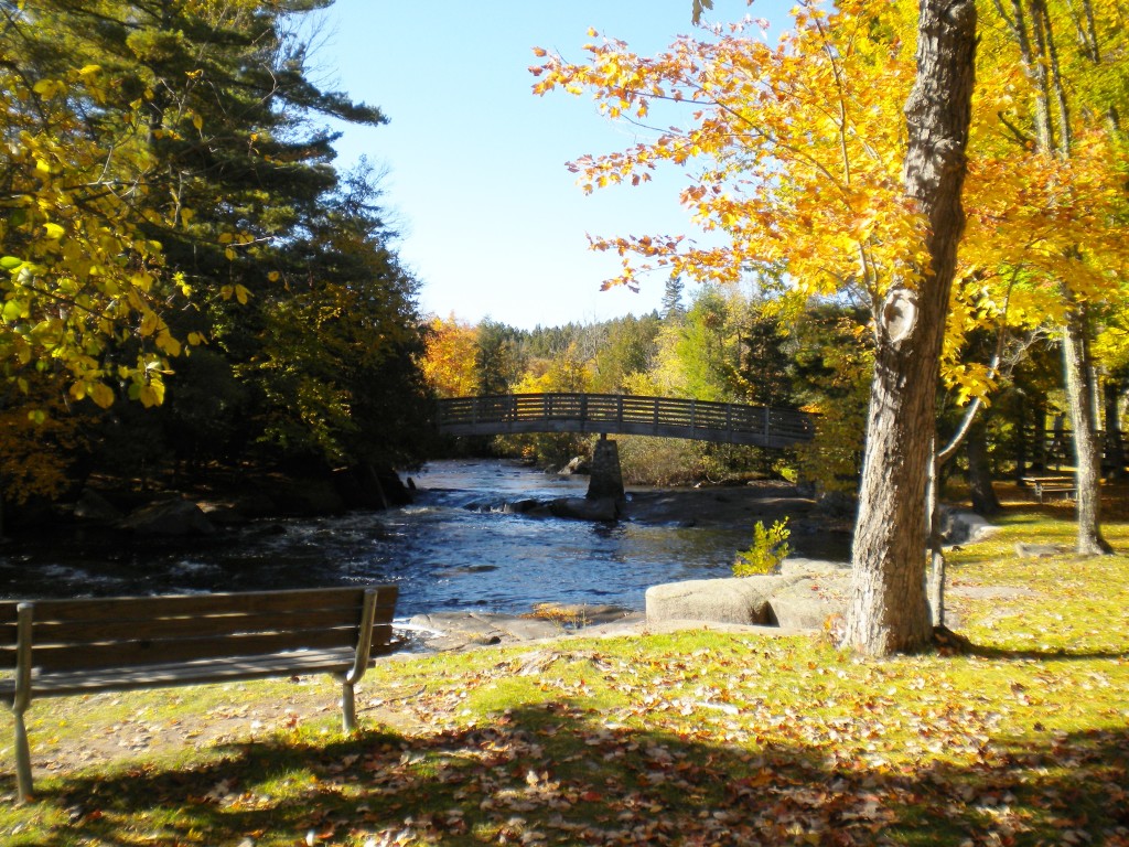 bridge at goodman park