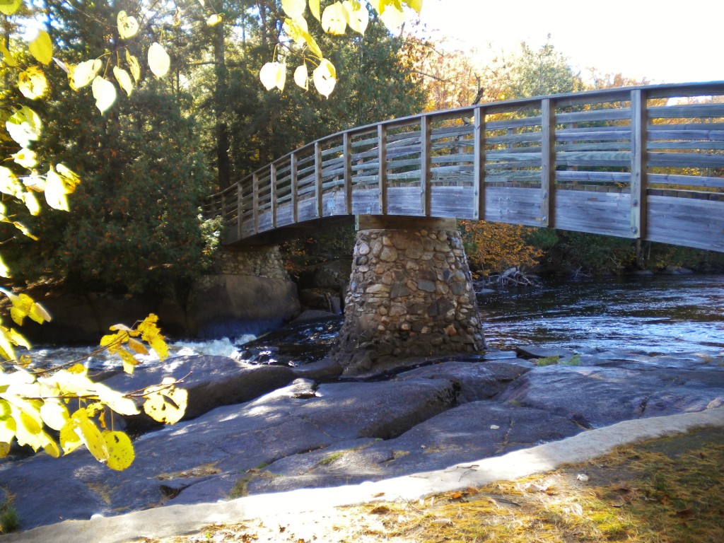 bridge at mcclintock falls