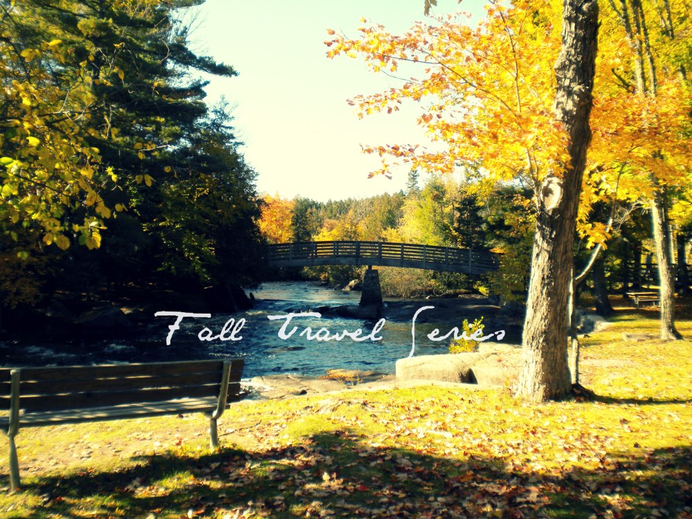 fall travel series bridge in goodman park